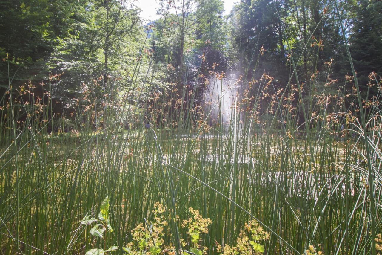 Schlosspark Grubhof - Mitterer Sankt Martin bei Lofer Zewnętrze zdjęcie